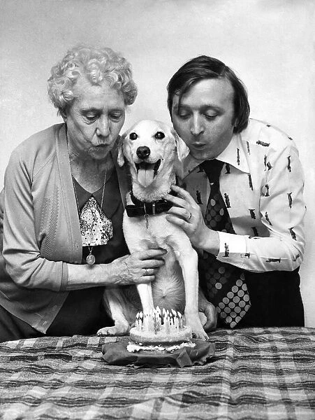 Bruno the dog celebrating his 22nd Birthday with his owner Ken and Ken's mother