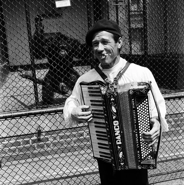 Busker Albert Puschase Seen here playing his accordion to vistors at London Zoo