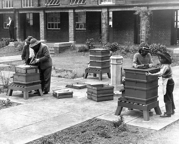 Children learning the art of beekeeeping in the 1960s