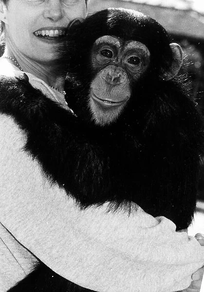 Chimpanzee and Ailsa Berk October 1984 Lucy the Chimp