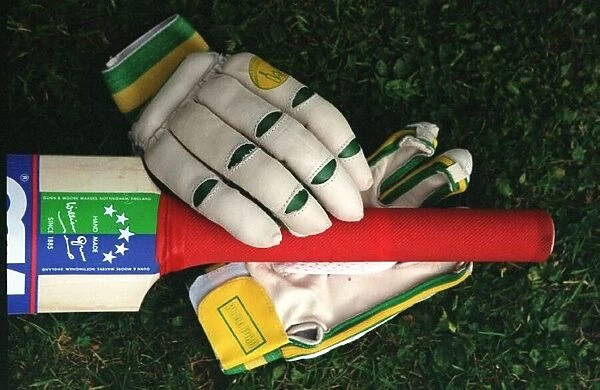 Cricket bat and Gloves DBase