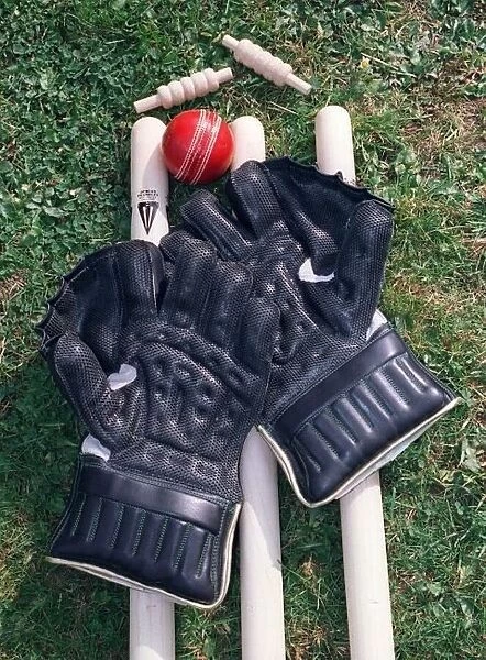 Cricket Wicket Keepers Gloves Cricket Ball Cricket Stumps DBase