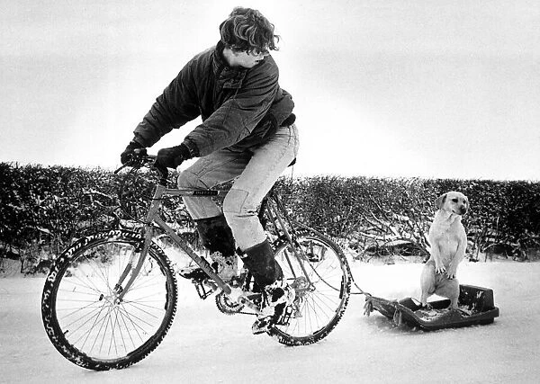 Daniel Unsworth (16) takes his dog Dixie for a ride on a sledge towed behind his bicycle