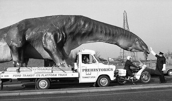 A dinosaur on the move in Essex. A 16 foot high and 45 foot long Cetiosaurus