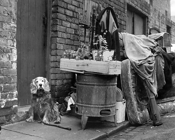 Not even the dog escapes the eye of the baliffs during this eviction in 1962