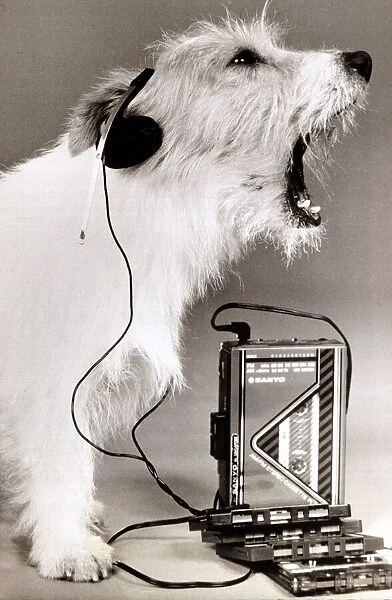 dog singing along to music played on a walkman wearing earphones mouth open howling