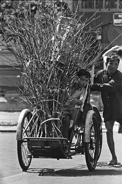 Father pushes his son on a cycle with a bundle of firewood through the streets of Saigon