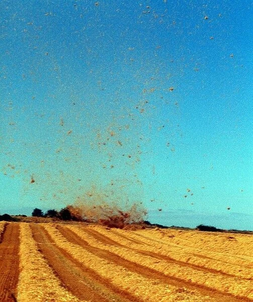 A field near Tranent hit by tornado August 1999 straw is scattered by wind