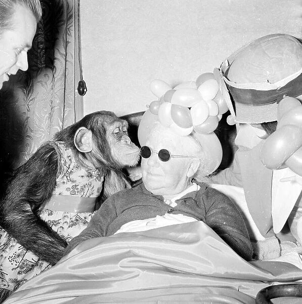 Fifi the Chimpanzee seen here kissing her owner. September 1956