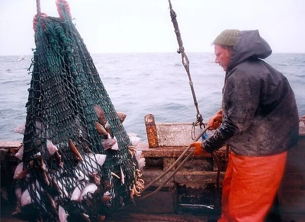 A fisherman brings in his net with a fair sized catch in 1996