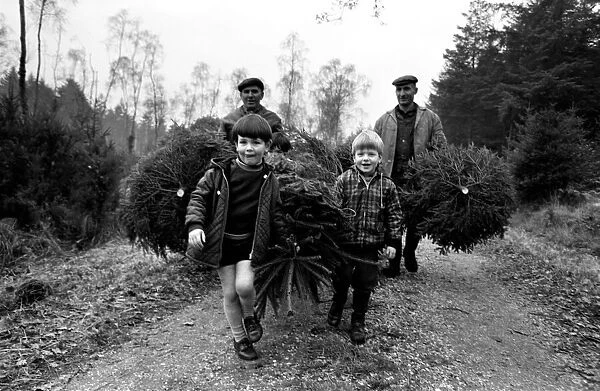 Forestry Commission employees - brothers Eill and Charlie Kitcher (Leather Jerkin