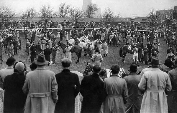 A general view of the paddock before the horses took the field at the Grand national race