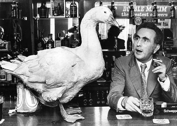This goose likes a pint as well as the next man, but maybe he should buy his own