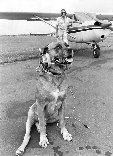Grounded only temporarily, Biggles waits for the call to scramble