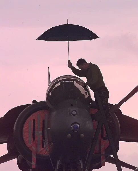 A harrier technician works on a weather grounded harrier at Gioia del Colle air base in