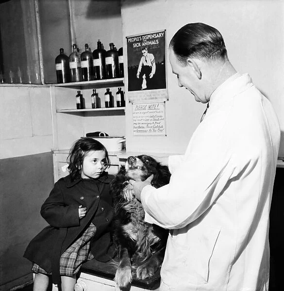 Helen with her pal 'Laddie'at the vets today. January 1953 D441