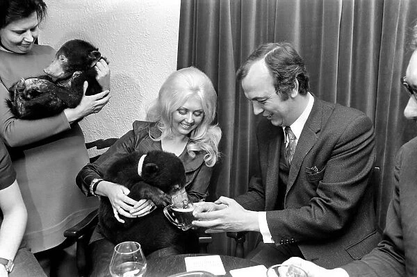 Humour: Unusual: Animals: Bears visits pub. December 1971 71-11988-003