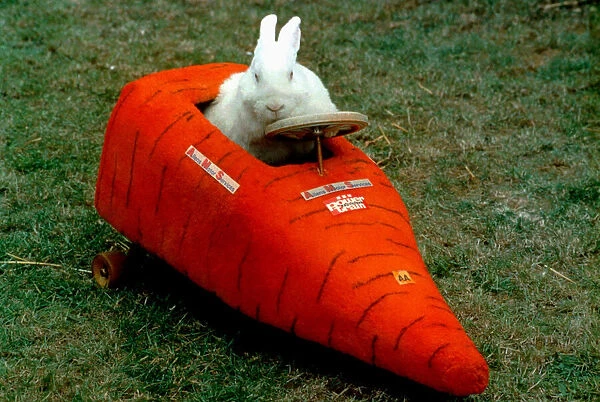 Inventor John Ward has built a car for his pet rabbit Eric. September 1996
