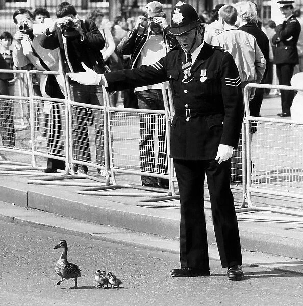 After You Ma am - an officer of the peace escorts an uninvited guest