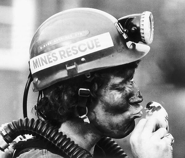 Miner David Kirk kisses Pit Canary 1981