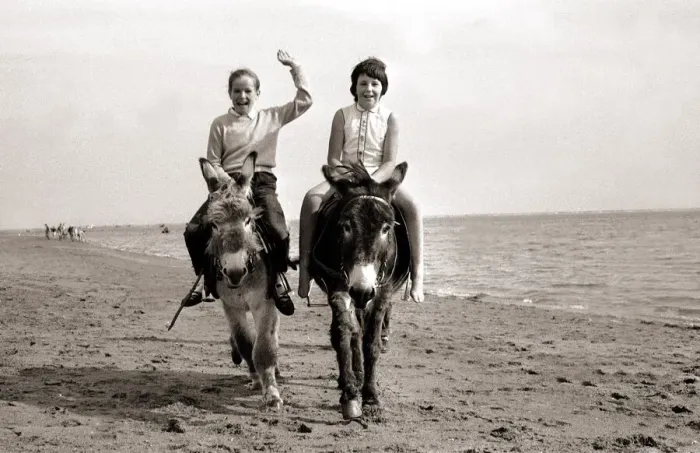Framed Print : Donkey Rides on Exmouth Beach, 1962 Print Framed Print : Donkey Rides on Exmouth Beach, 1962 Print