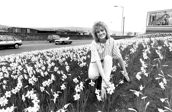 Miss Evening Chronicle Jacqui Failes among the daffodils on Scotswood Road