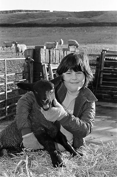 A one month old lamb gets a cuddle from 10-year-old Heather Lawton
