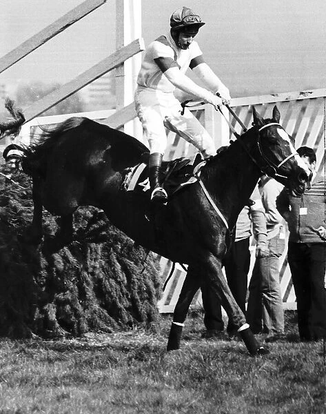 No46 Aldaniti with Bob Champion jumps the last fence to win the 1981 Grand National at