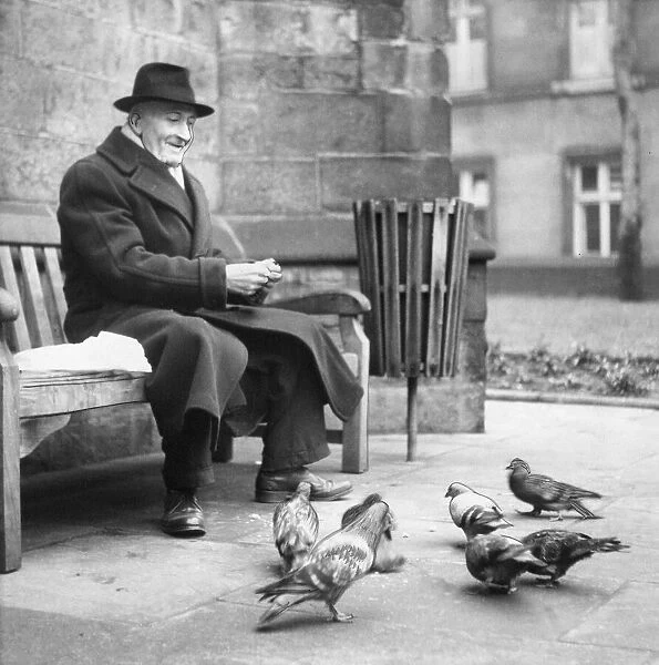 An old man feeding the pigeons in a churchyard