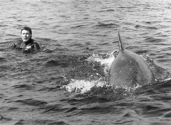 Percy the dolphin pops up to say hello to a lakeman. August 1983 P011843
