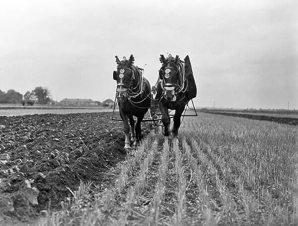 Ploughing at Heathrow now the site where the of airport is located. 1935