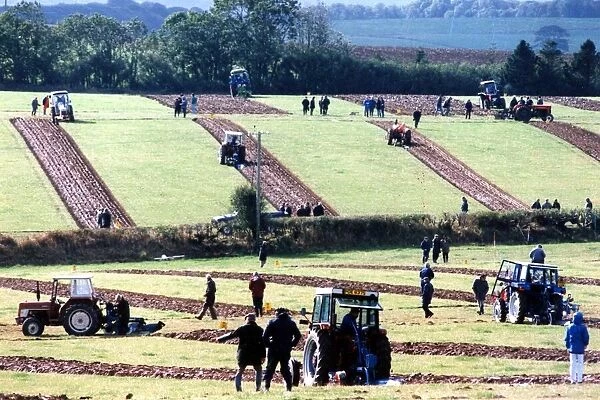 Ploughing - Straight and narrow... The furrows left by competing ploughmen at