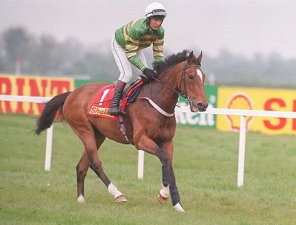 Racehorse Istabraq and jockey Charlie Swan at Punchestown