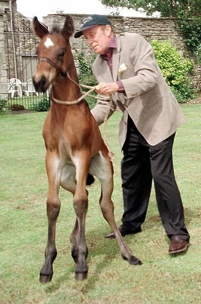 Richard Wilson actor with his baby foal Tam