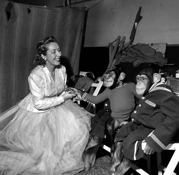 Rosita Smith with Chimps and 'Dick Whittington'. December 1952 C6333-001
