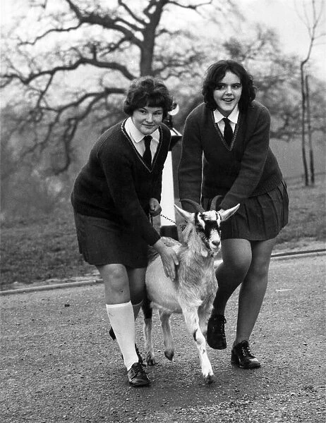 Sallie (left) and Jean with Betty, their schools new goat. January 1971 P011774