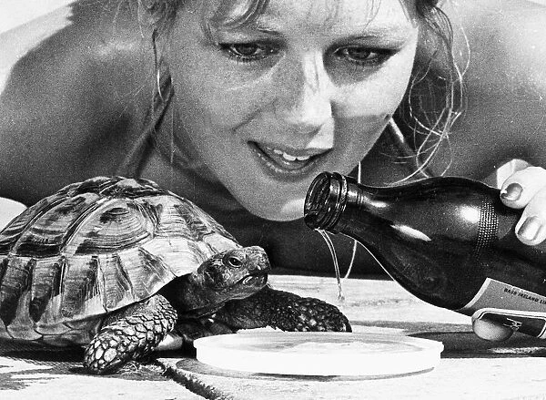 Shauna Kyle with her tortoise Nippy who drinks beer 1977