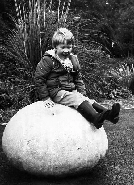 Sitting Pretty. Matthew McLean and the record-breaking pumpkin. October 1981 P006540