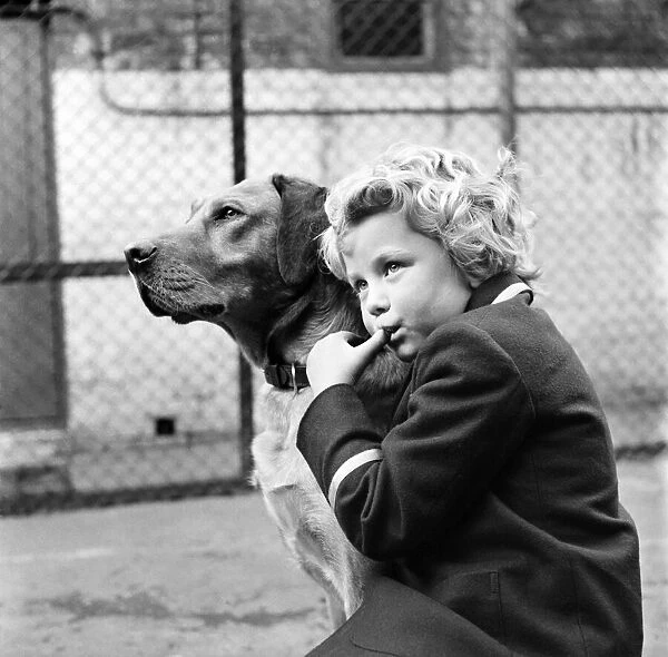A small girl is reunited with her lost dog at the RSPCA kennels. June 1960 M4456-002