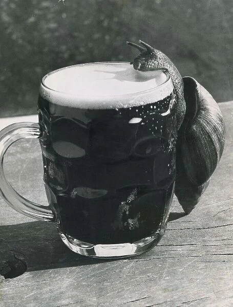 A snail climbs up the side of a pint glass to drink lager from the pitcher