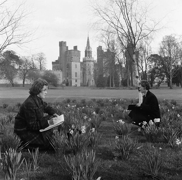 Spring flowers in the grounds of Cardiff Castle. 29th March 1954