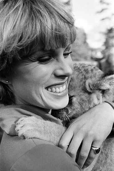 Stars of the new TV series 'The Avengers', Joanna Lumley with Sheba the lion