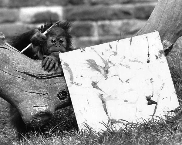 Sydney, a 2 year old orang-utan shows off a picture he painted