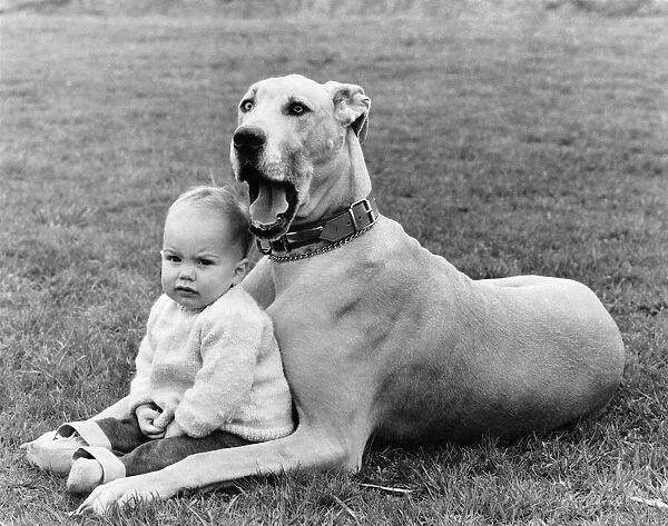Together... A pet and his pal. April 1984 P006077