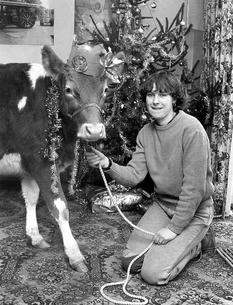 Virginia Tompkins seen here with her pet cow wearing her christmas hat
