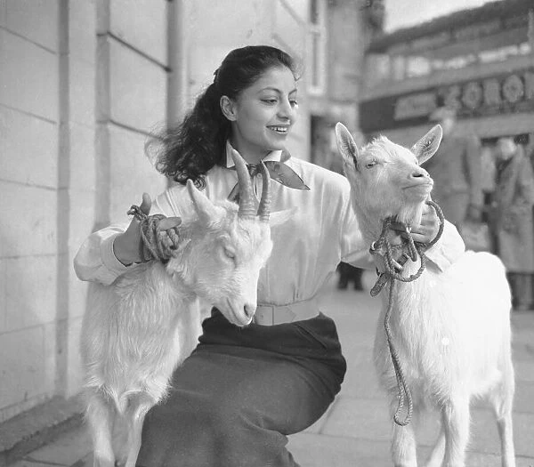 A woman with two goats that appear in the show 'Tea House of August Moon'