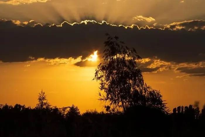 Framed Print : Beautiful Sunset Print with Tree and Clouds