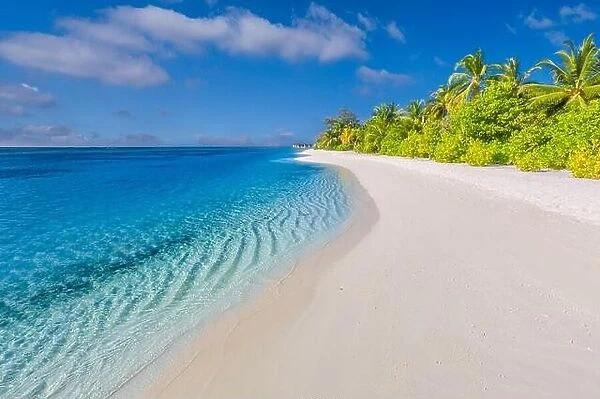 Best tropical beach landscape. Fantastic summer coast, vacation destination, palm trees, white sand, sunny sky. Freedom travel, amazing sea lagoon