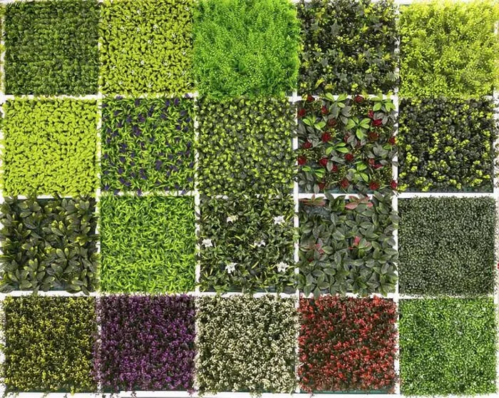 Framed Print : Fake Vegetation Print - 20 Different Samples Framed Print : Fake Vegetation Print - 20 Different Samples