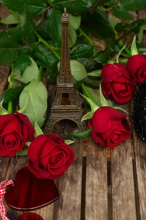 Framed Print : Dark Red Roses Print with Eiffel Tower Framed Print : Dark Red Roses Print with Eiffel Tower